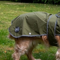 Stormguard Soft Shell Khaki S