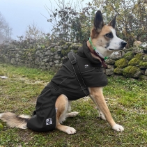 Extreme Blizzard Dog Coat Black 25cm XS