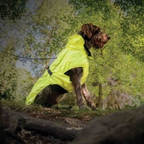 Extreme Blizzard Dog Coat Hi-Vis 25cm XS