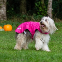 Viva Reversible Coat Pink/Purple 50cm Large