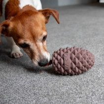 Orva Large Pine Cone - Medium Chewers