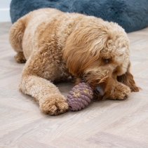Orva Large Pine Cone - Medium Chewers