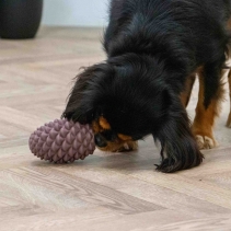 Orva Large Pine Cone - Medium Chewers