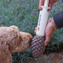 Orva Large Pine Cone - Medium Chewers
