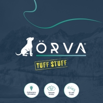 Orva Large Pine Cone - Medium Chewers