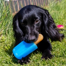 Cooling toys