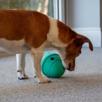 Orva Rocket Treat Toy