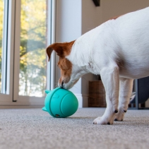 Orva Rocket Treat Toy