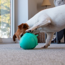 Orva Rocket Treat Toy