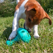 Orva Mushroom Treat Toy