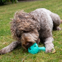 Orva Mushroom Treat Toy