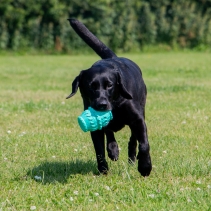 Orva Treat Barrel