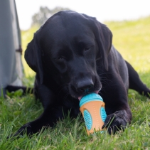 Orva Sensory Roll Treat Toy