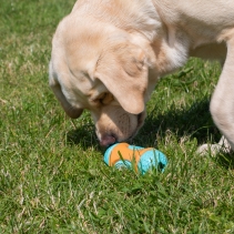 Orva Sensory Roll Treat Toy