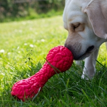 Orva Brain Treat Dumbbell