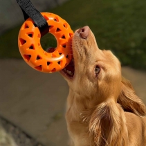 Tough Floating Donut with Strap