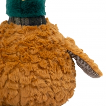 Heritage Phoebe Pheasant