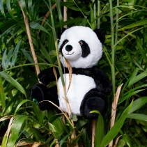 Made From Patrick Panda