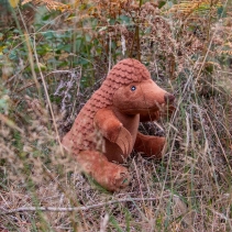 Made From Peter Pangolin