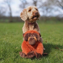 Made From Oswold Orangutan