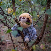 Made From Scout Sloth Mini