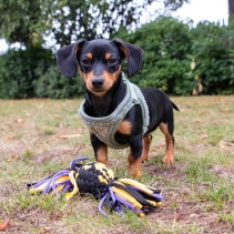Playtime Squeak T-Shirt Rope Ball Small