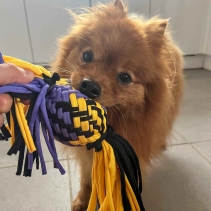 Playtime Squeak T-Shirt Rope Ball Small