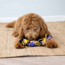 Playtime Squeak T-Shirt Rope Tug