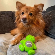 Small Bite Ball Belly Pig Frog Elephant