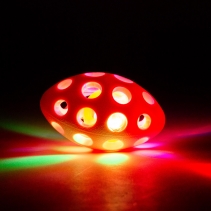 Small Bite Flashing Rugby Ball