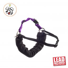 PDL Harness and Lead S 44-54cm