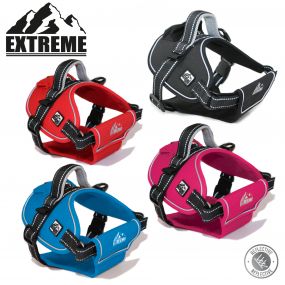Extreme Harness Black S