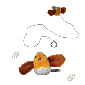 Chirping Robin