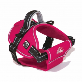 Extreme Harness Pink L