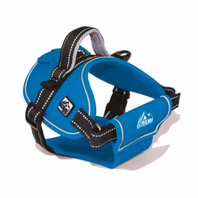 Extreme Harness Blue XL