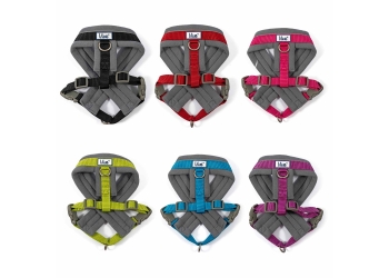 Viva Padded Harness Black L 52-71cm