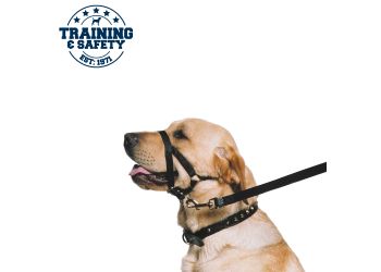 Nylon Training Halter M Sz 3-4