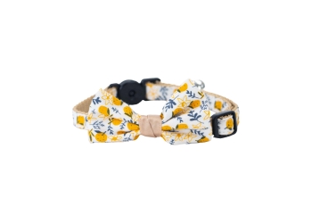 Fruit Pattern Cat Collar