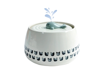 Whale Cat Fountain