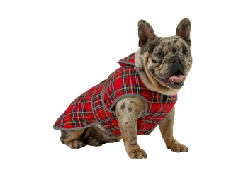 Heritage Red Tartan S/M