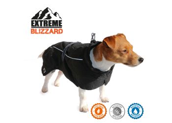 Extreme Blizzard Dog Coat Black 40cm M