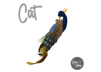 Peacock Cat Toy