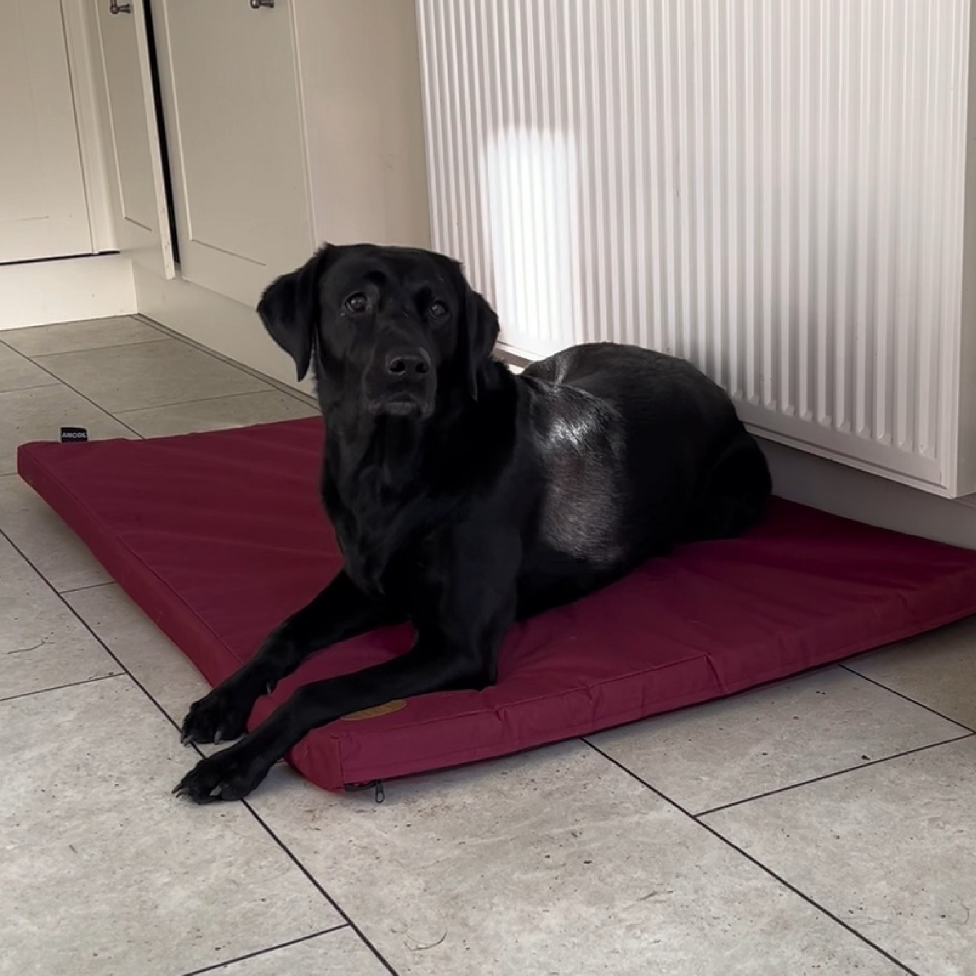 Waterproof Pad Bed 122x76cm Burgundy