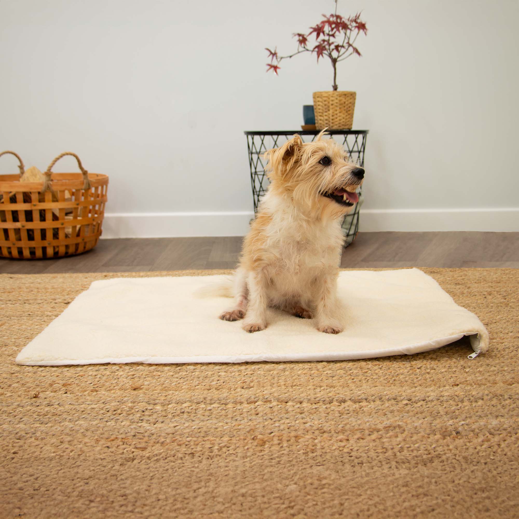 Self Heating Pet Pad L 90x64cm