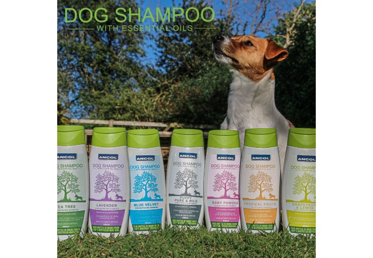 Dog Shampoo Blue Velvet 200ml