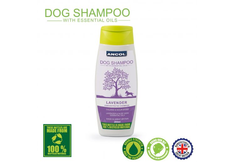 Lavender Dog Shampoo