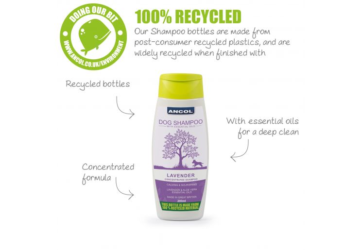 Lavender Dog Shampoo