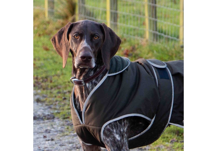 Heritage Leather Collar Oxblood Size 1 20-26cm