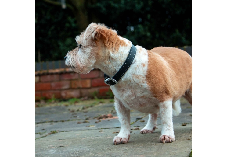 Heritage Leather Collar Black Size 3 28-36cm