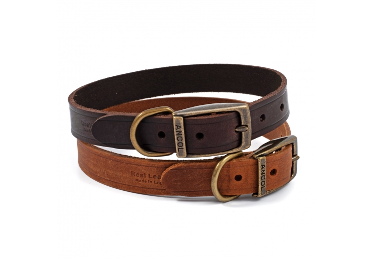 Latigo Leather Collar Havana 20-26cm Size 1